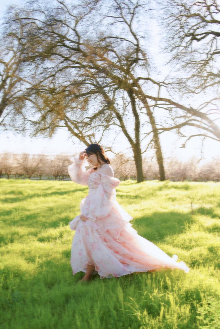 A Line , Floor Length , Printing Floral Prom Dress , Photo Shoots Dress