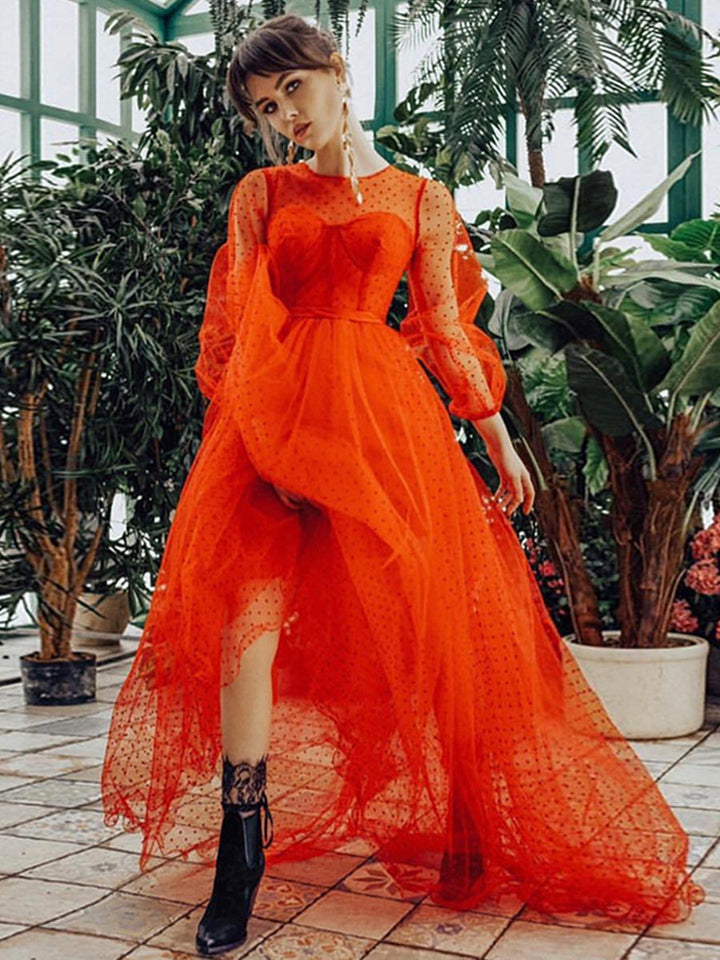 Langärmliges Ballkleid mit Rundhalsausschnitt und gepunktetem Tüll für Fotoshootings 