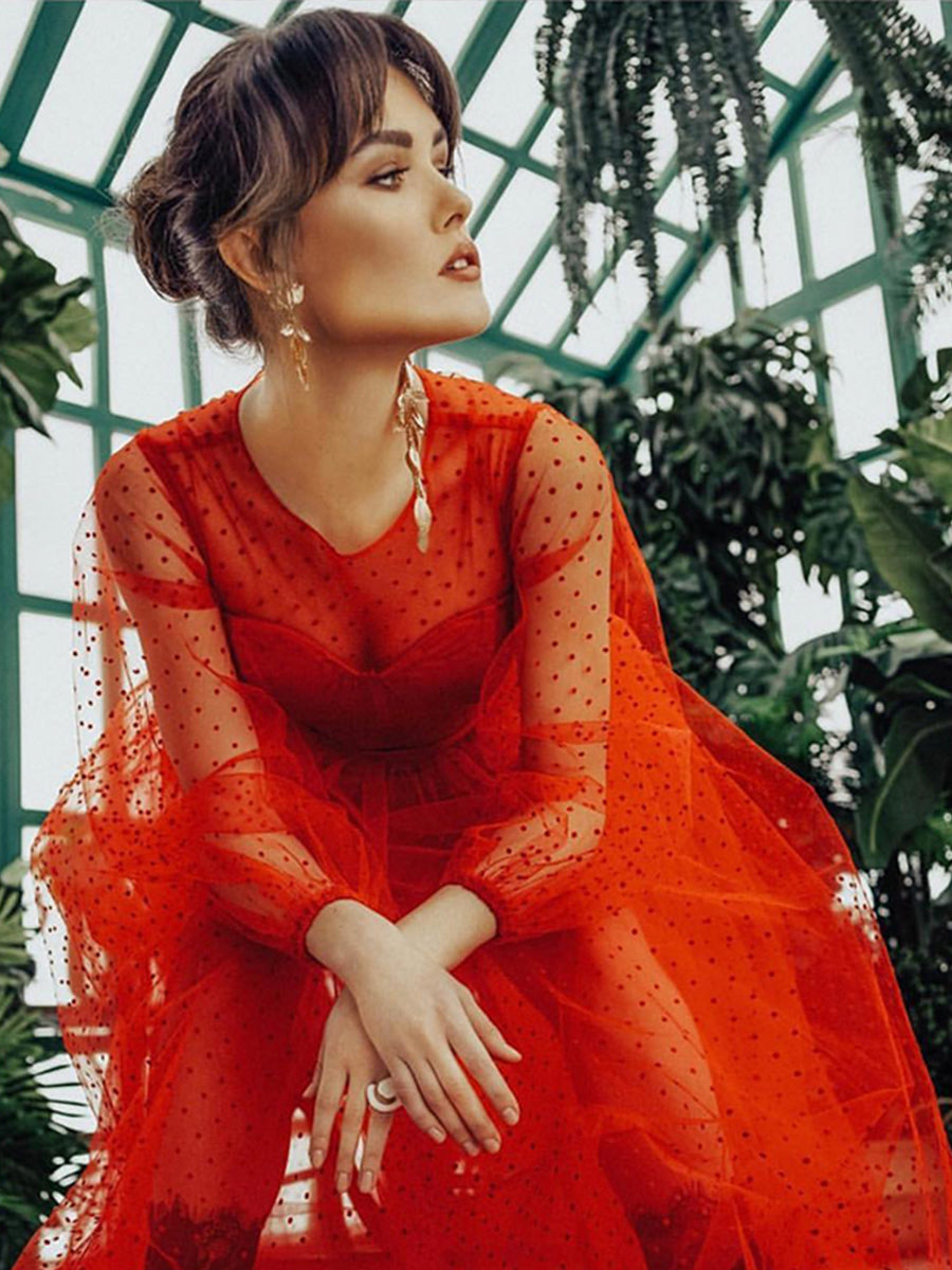 Langärmliges Ballkleid mit Rundhalsausschnitt und gepunktetem Tüll für Fotoshootings 