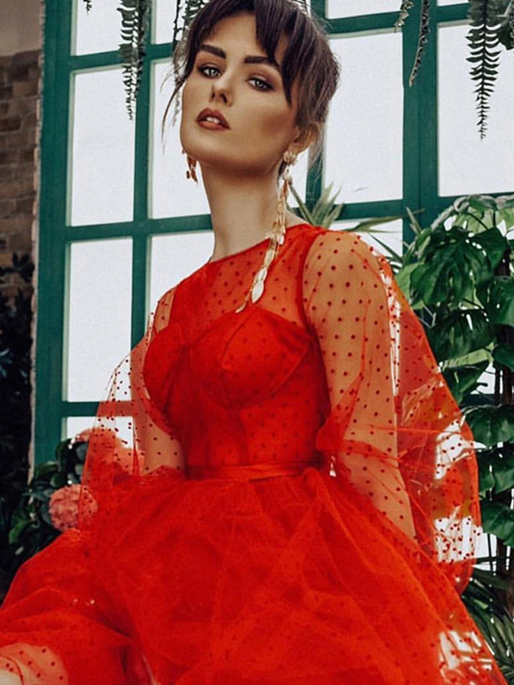 Langärmliges Ballkleid mit Rundhalsausschnitt und gepunktetem Tüll für Fotoshootings 