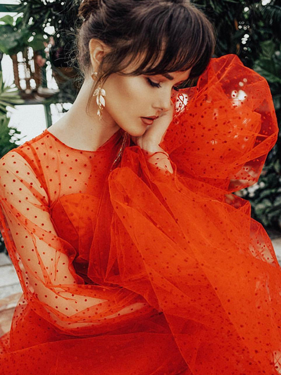 Langärmliges Ballkleid mit Rundhalsausschnitt und gepunktetem Tüll für Fotoshootings 