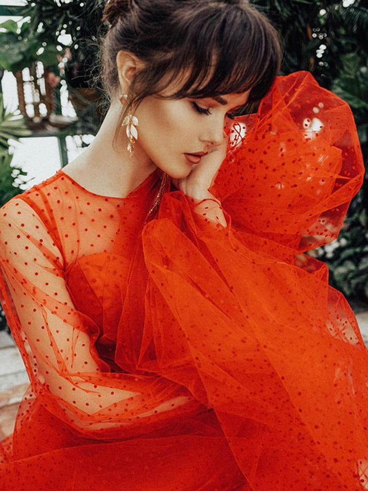 Langärmliges Ballkleid mit Rundhalsausschnitt und gepunktetem Tüll für Fotoshootings 