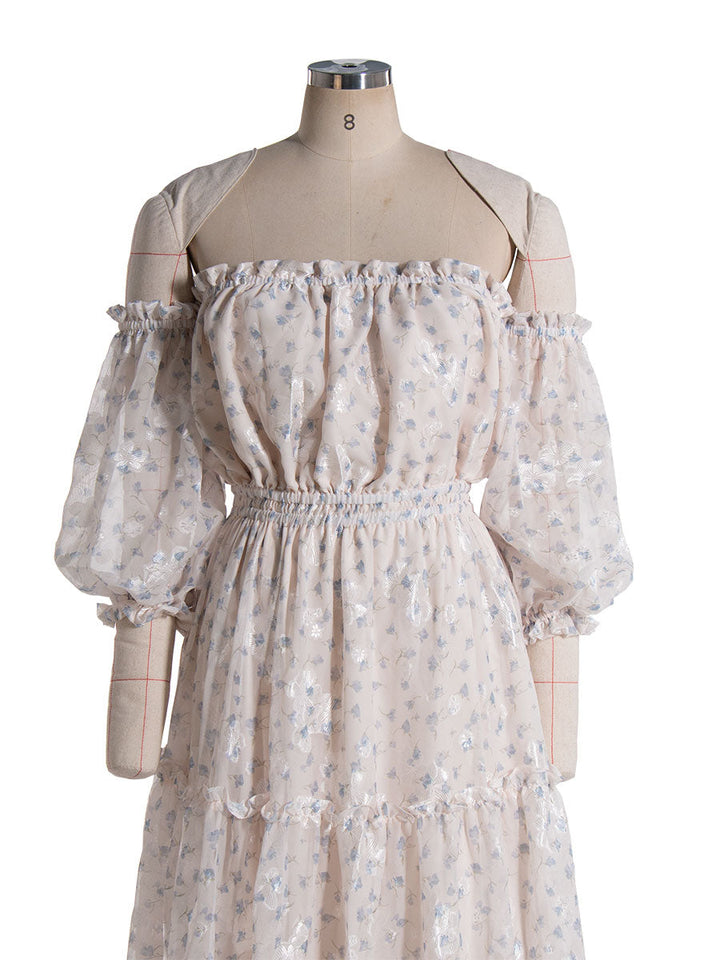 Off Shoulder, Printed Chiffon Dress for Photo Shoot, Woman Maxi Dress