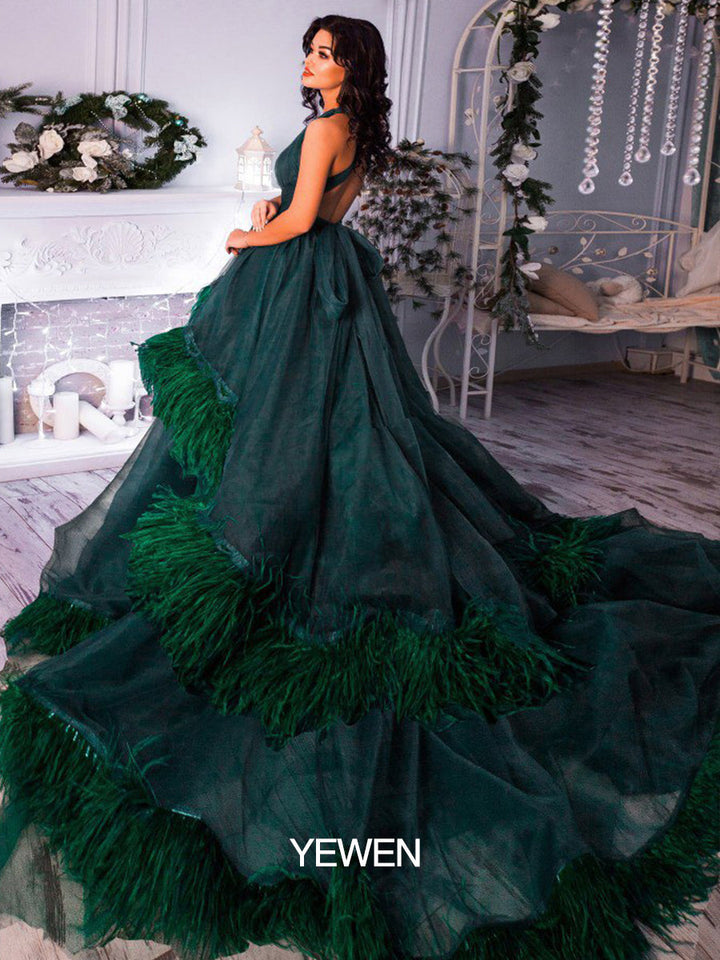 Sexy V-Ausschnitt Rückenfrei Federn Luxus Bunte Brautkleider Fotografie Kleid 10092 