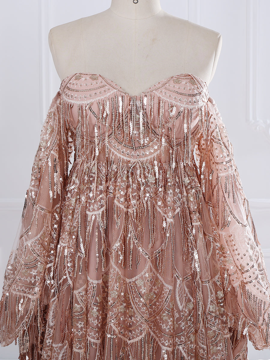 Strapless Sweetheart, Bling Sequins Dress ,Woman Photography , Props Gown