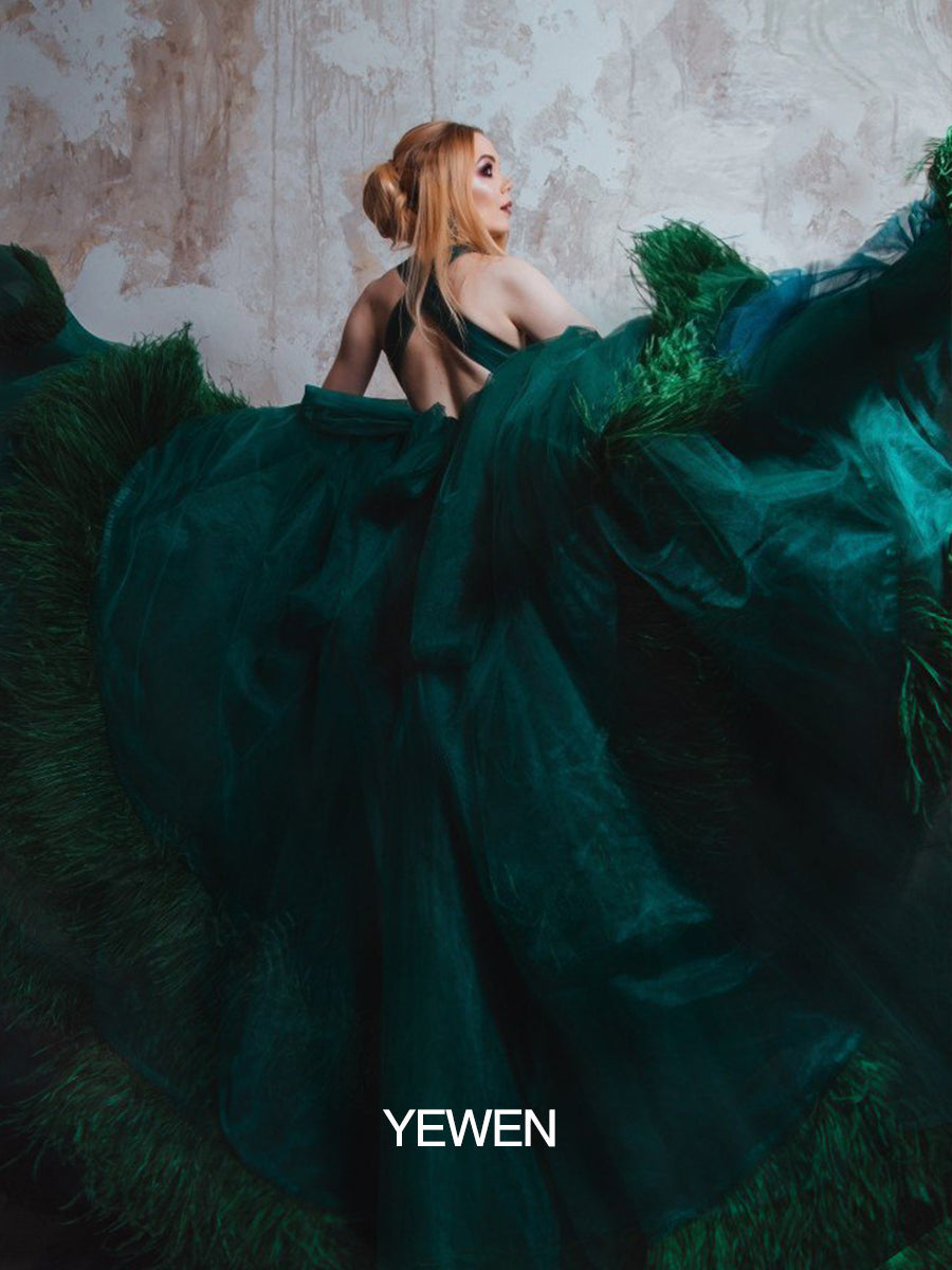 Sexy V-Ausschnitt Rückenfrei Federn Luxus Bunte Brautkleider Fotografie Kleid 10092 