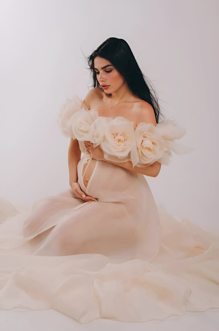 Umstandskleid für Fotoshootings, durchsichtiges Umstandskleid mit 3D-Blumen, transparentes Organza-Schwangerschaftskleid für Babyparty, YW250023 