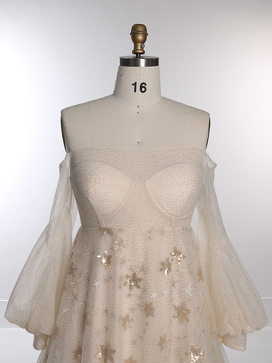Sparkle Star Tüll Starry Fotografie Kleid Mode Glitter Mesh Abendkleid für Foto-Shooting YEWEN YW20230309 